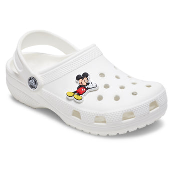 JIBBITZ CROCS
