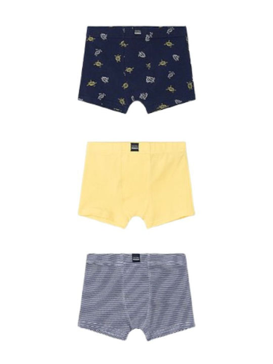 BOXER